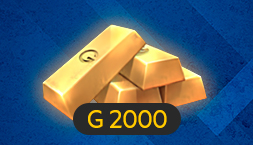 G 2000