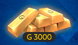 G 3000